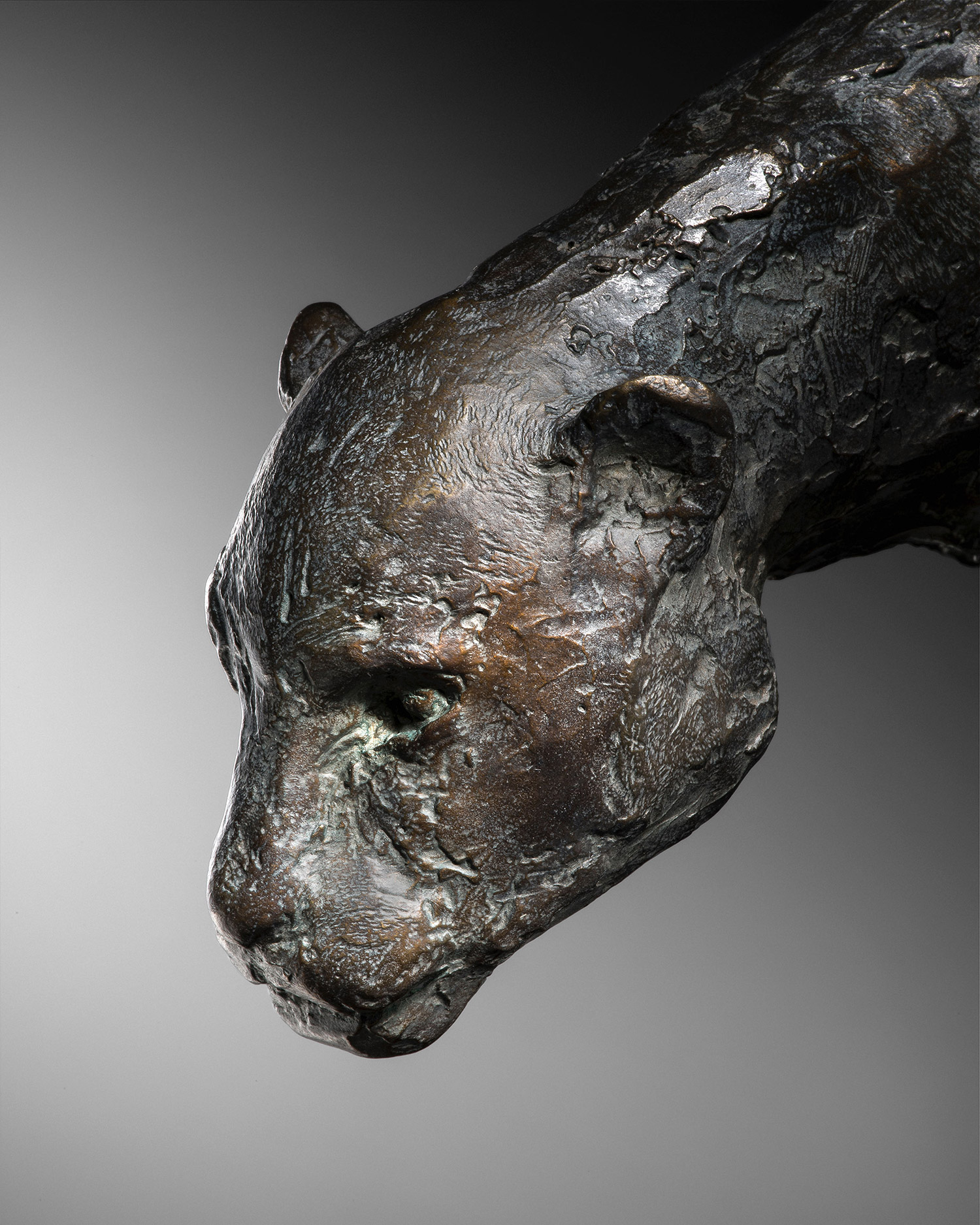 1-Guillemin-Arabian-Panther-detail-galerie-bettina-art-contemporain-paris