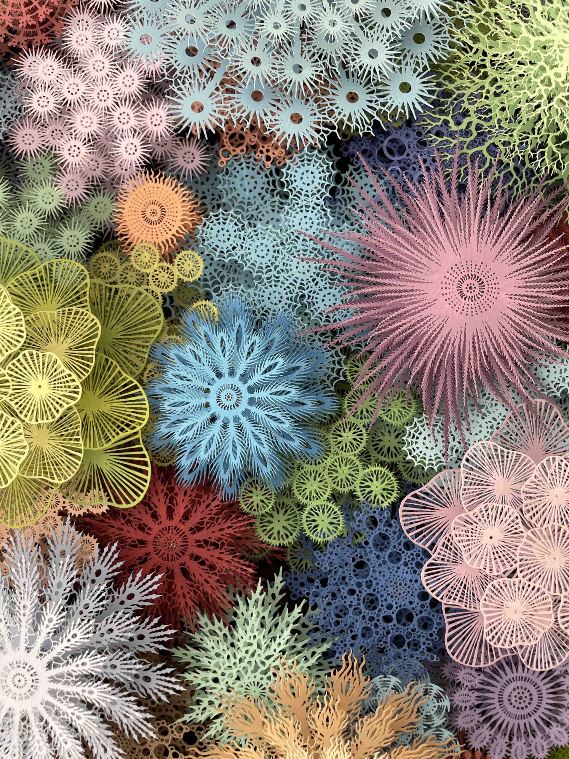 Magic Circle Color