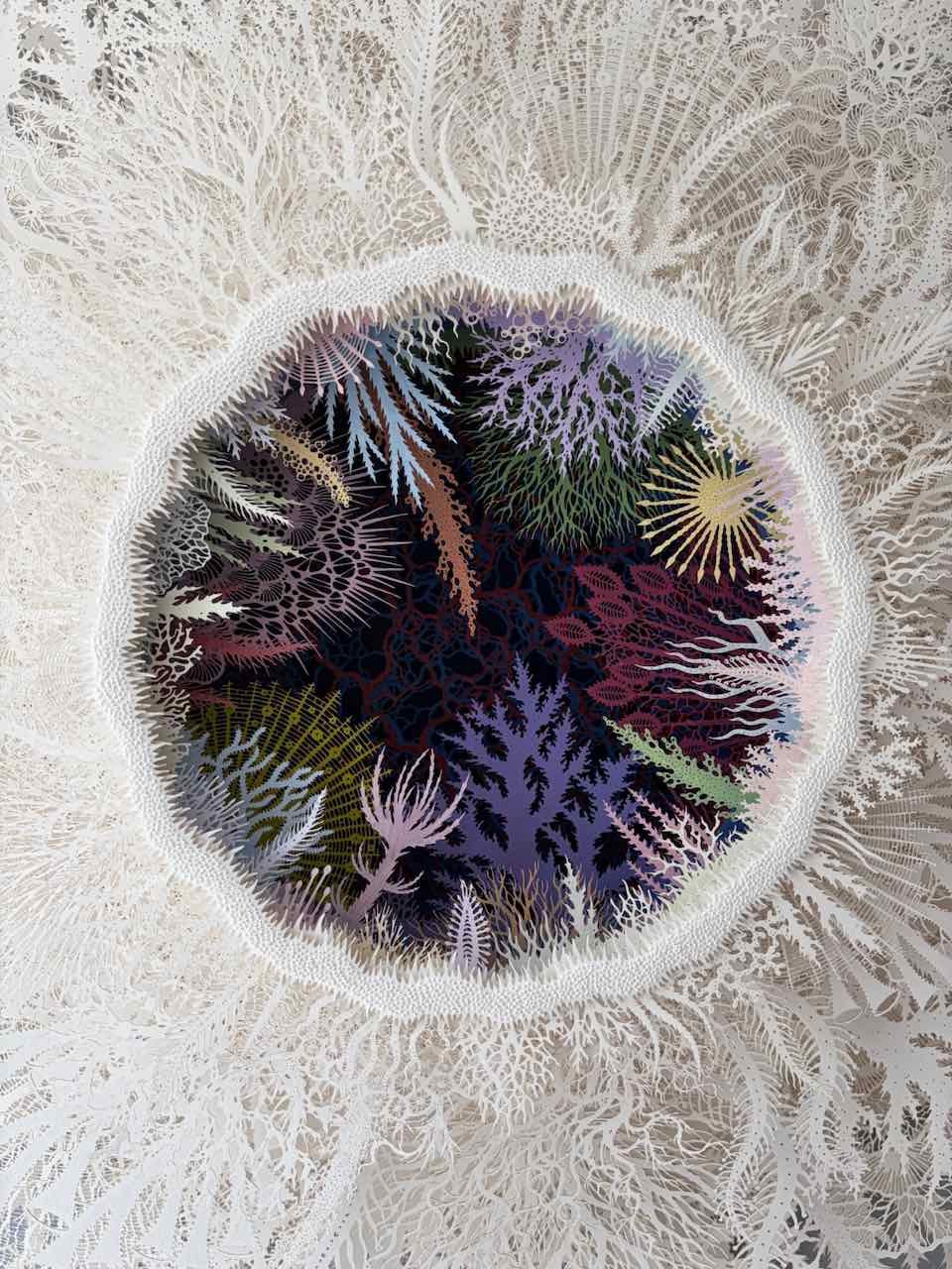 Ghost Coral Color Variation